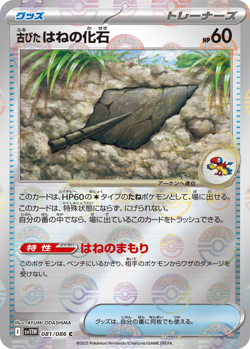 古びたはねの化石